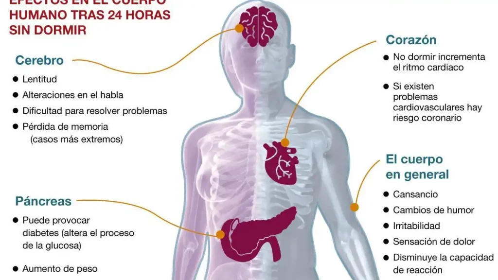 ¿Por qué no dormimos bien? Ciencia del sueño y consecuencias reales en 2026