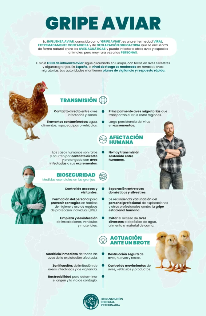 Gripe Aviar: Seguridad Alimentaria y Riesgos para los Consumidores