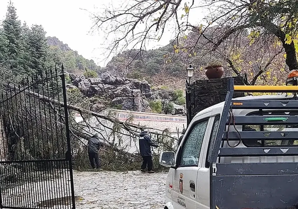 Impacto de la Borrasca Leonardo en Andalucía: Emergencias y Desplazamientos Masivos