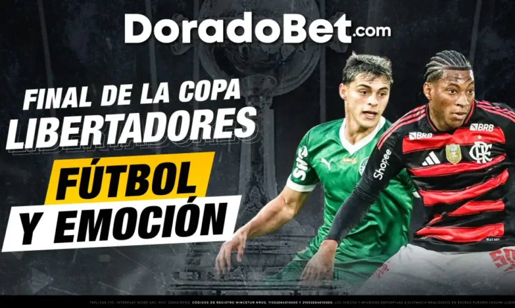 La Final de la Libertadores: Un Duelo Brasileño que Promete Emoción