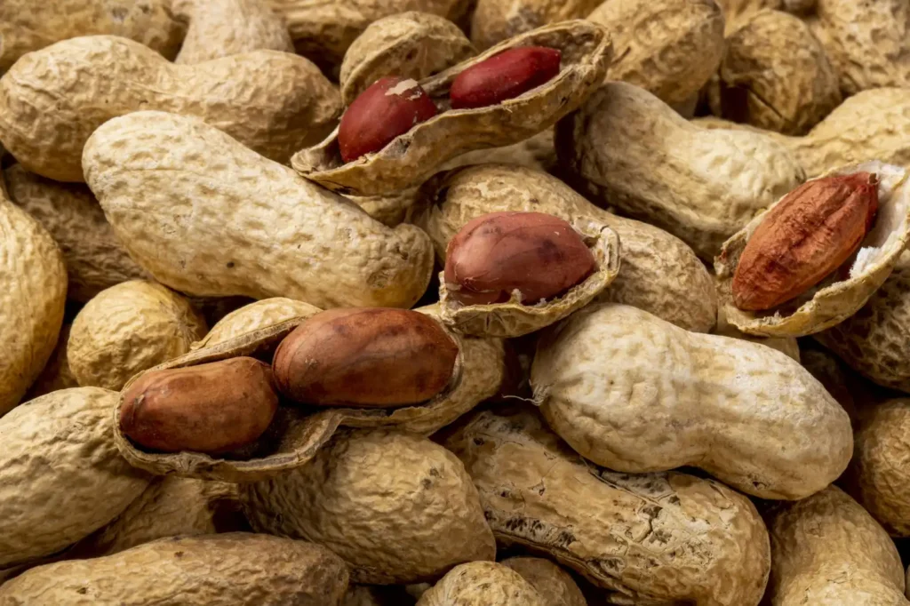 Los Beneficios Ocultos de Consumir la Piel de los Cacahuetes