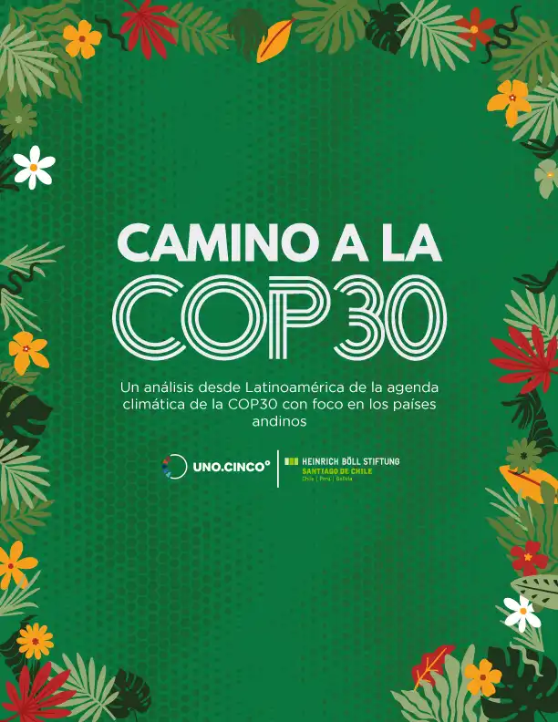 Reflexiones sobre la COP30: Avances y Desafíos en la Lucha Climática