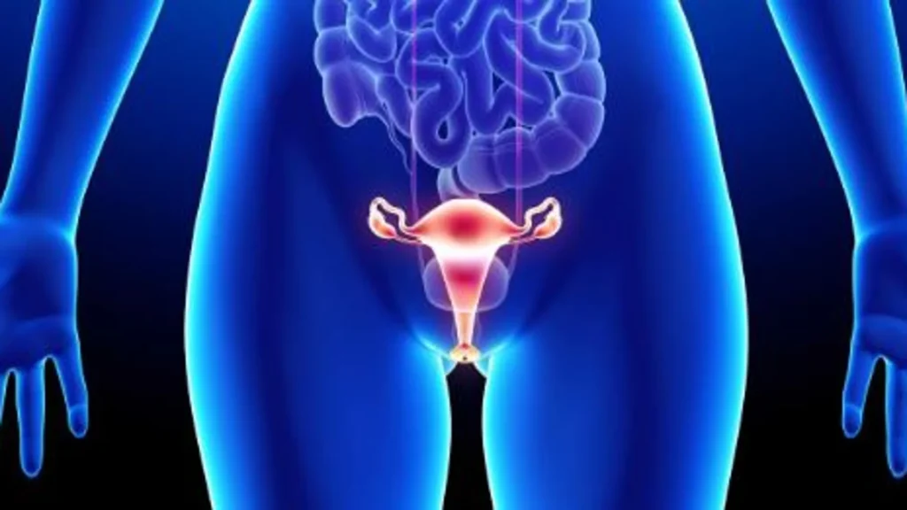 Anticuerpos conjugados a fármacos para cáncer de ovario: avance terapéutico con impacto clínico y regulatorio