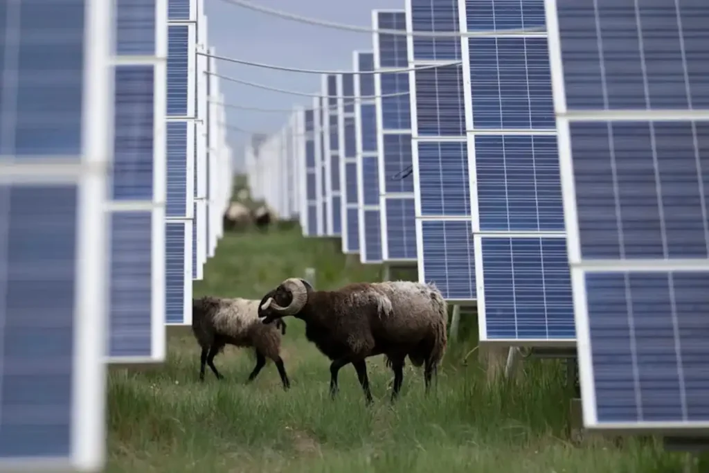 Eficiencia de células solares perovskita supera el 30%: ¿qué significa para la energía solar?